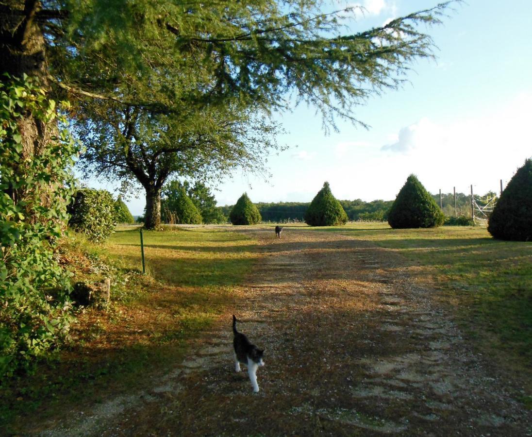 Hauts De Sentelines Sejour Authentique En Pleine Nature Gavaudun 外观 照片