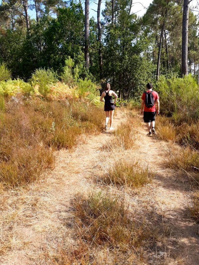 Hauts De Sentelines Sejour Authentique En Pleine Nature Gavaudun 外观 照片